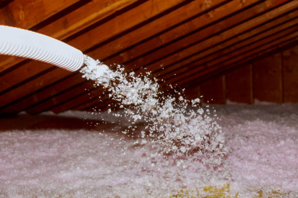 Best Attic Insulation Installation  in Drew, MS